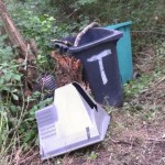 Dumped rubbish in Cat Lane and Carr Wood