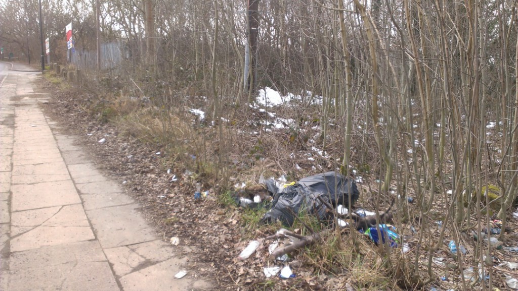 Fly-tipping in the woods along Blackstock Road